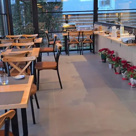 Albion 게스트하우스