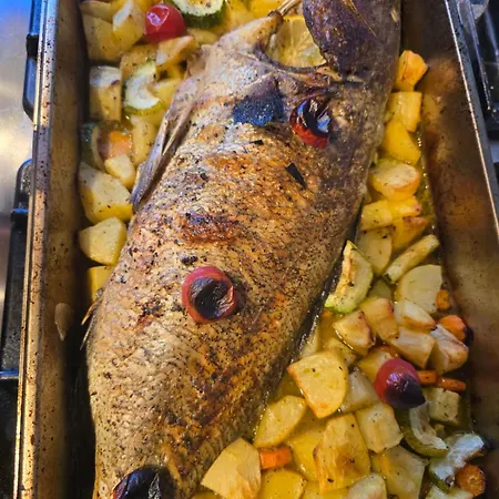 Albion Pensionat Lezhë