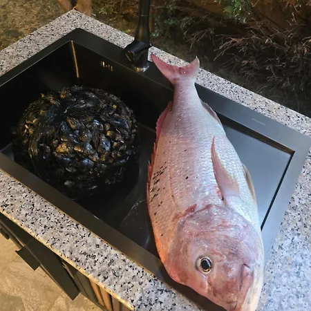 Albion 4* Αλέσιον